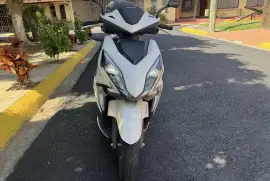 Honda, Élite , 2019