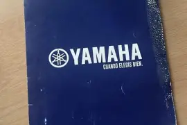 Yamaha, Yz 250F, 2022