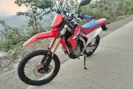 Honda, Crf 300l, 2021