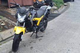 Freedom, Rider Evo 200, 2020