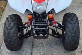 Honda, TRX250X , 2023