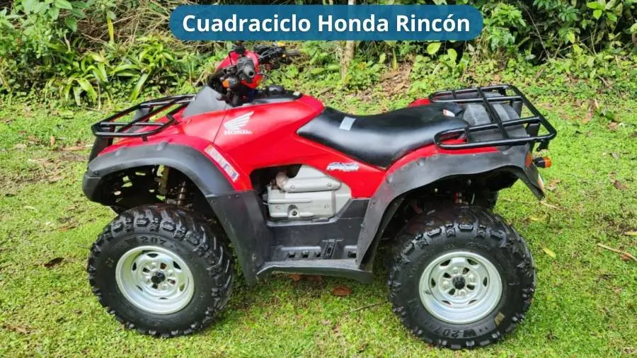 Honda, Rincón, 2010