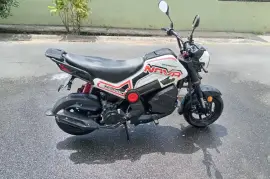 Serpento, NOVA , 2024