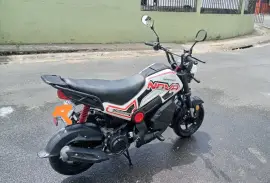 Serpento, NOVA , 2024