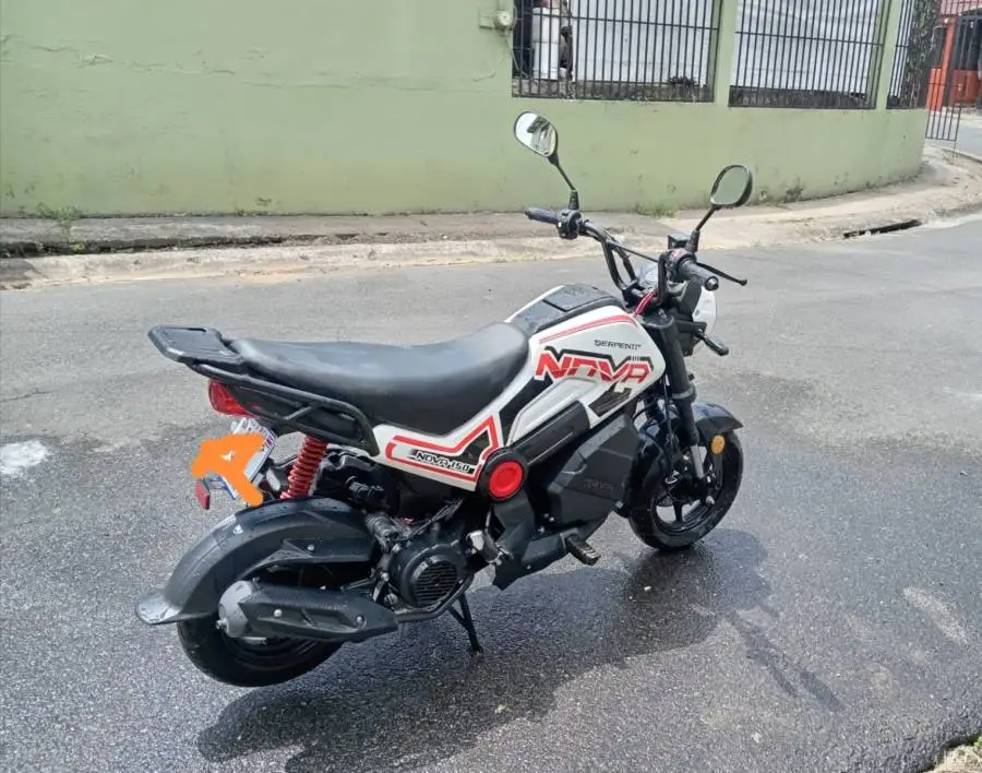 Serpento, NOVA , 2024