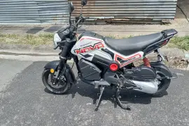 Serpento, NOVA , 2024