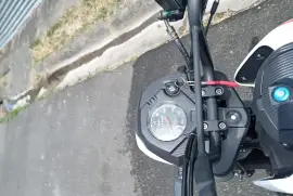 Serpento, NOVA , 2024