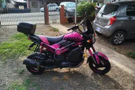 Honda, Navi, 2019