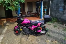Honda, Navi, 2019