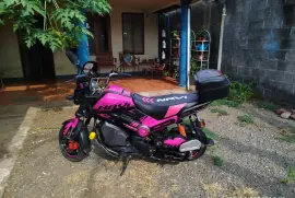 Honda, Navi, 2019