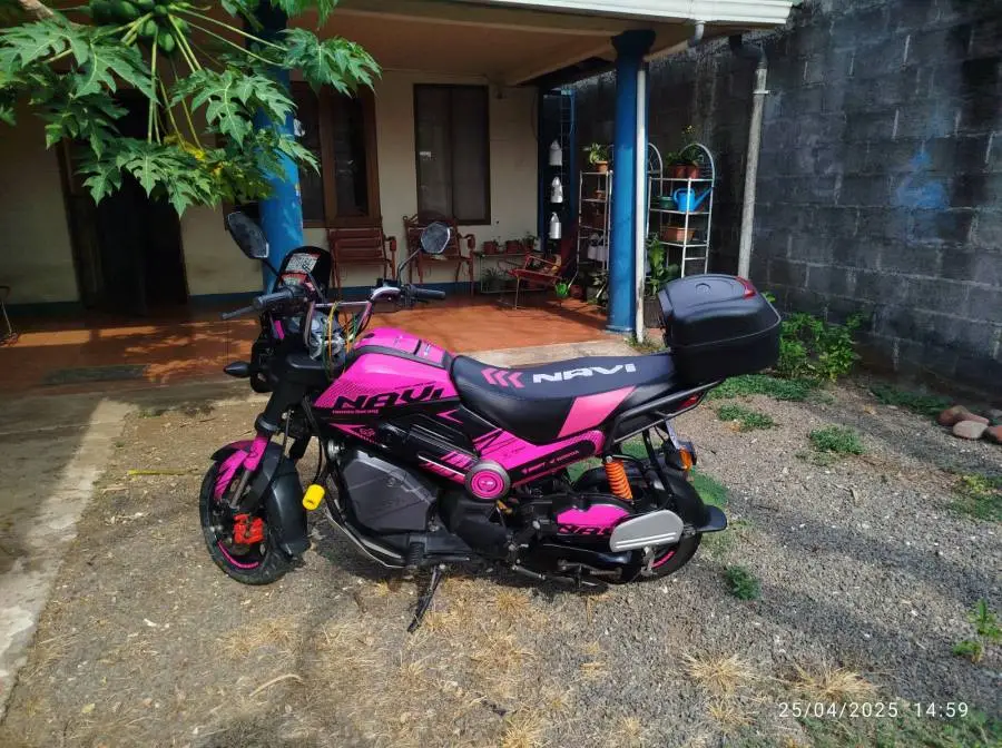 Honda, Navi, 2019