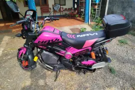 Honda, Navi, 2019