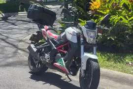 Benelli, TNT 250, 2019