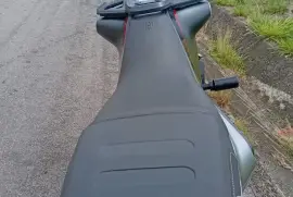 Husqvarna, Svartpilen, 2020