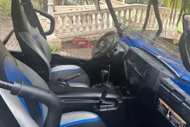 Kawasaki, Teryx 4 LE, 2018