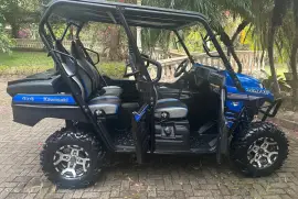 Kawasaki, Teryx 4 LE, 2018