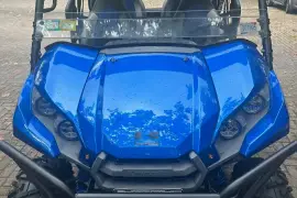 Kawasaki, Teryx 4 LE, 2018