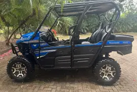 Kawasaki, Teryx 4 LE, 2018
