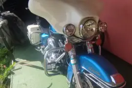 Harley-Davidson, Police , 2008