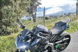 Kawasaki, Z900, 2018