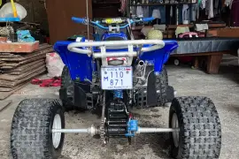 Yamaha, Blaster , 2002