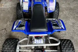 Yamaha, Blaster , 2002