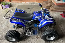 Yamaha, Blaster , 2002