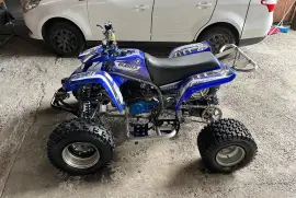 Yamaha, Blaster , 2002