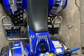 Yamaha, Blaster , 2002