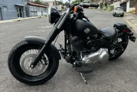 Harley-Davidson, Slim, 2013