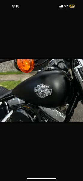 Harley-Davidson, Slim, 2013