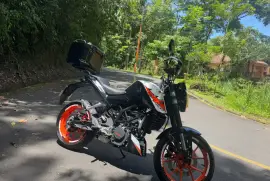 KTM, Duke , 2017