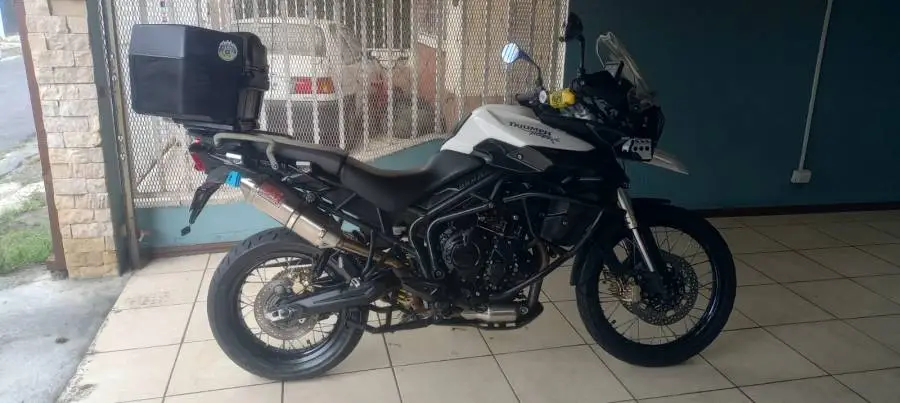 Triumph, tiger, 2013