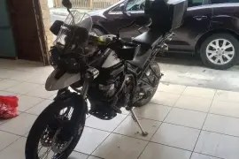 Triumph, tiger, 2013
