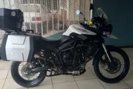 Triumph, tiger, 2013