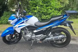 Suzuki, Inazuma, 2017