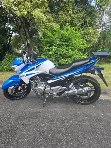 Suzuki, Inazuma, 2017