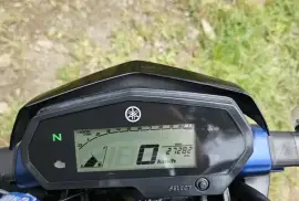 Yamaha, FZ 250, 2021