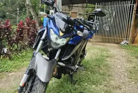 Yamaha, FZ 250, 2021
