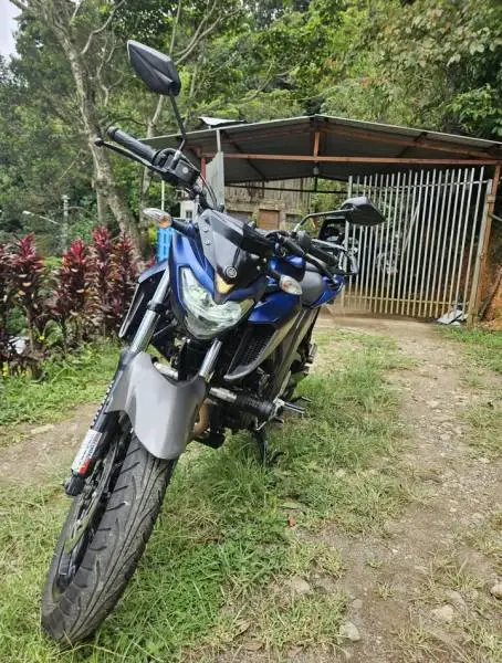 Yamaha, FZ 250, 2021