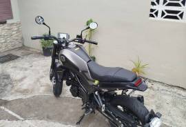Benelli, Leoncino, 2021