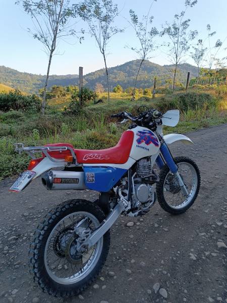 Honda, XR 600, 1996