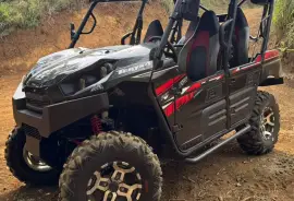 Kawasaki, Teryx4, 2019