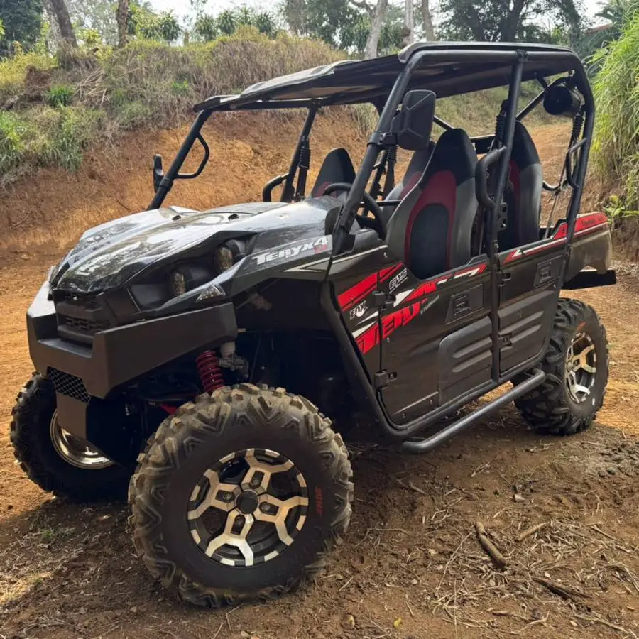 Kawasaki, Teryx4, 2019