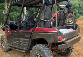 Kawasaki, Teryx4, 2019