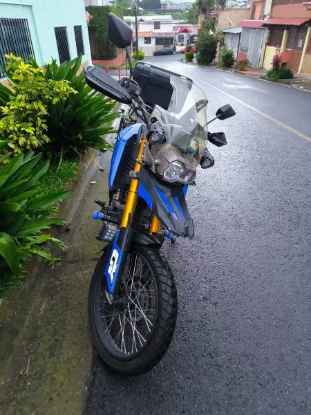 Serpento, Viper 250, 2022