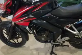 Bajaj, NS , 2016