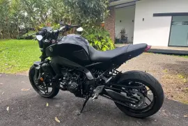 Yamaha, MT09, 2024