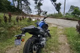 Yamaha, FZ 250, 2021