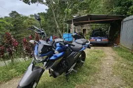 Yamaha, FZ 250, 2021